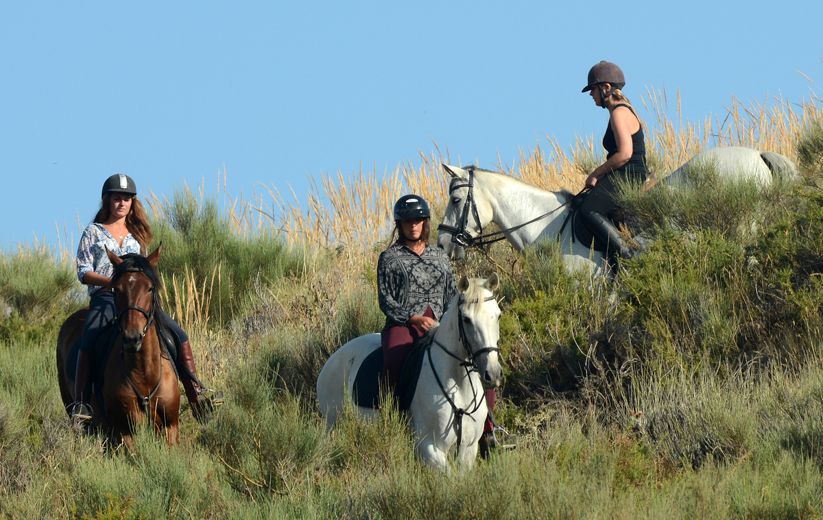 11182015-horse-trekking-riding-andalucia